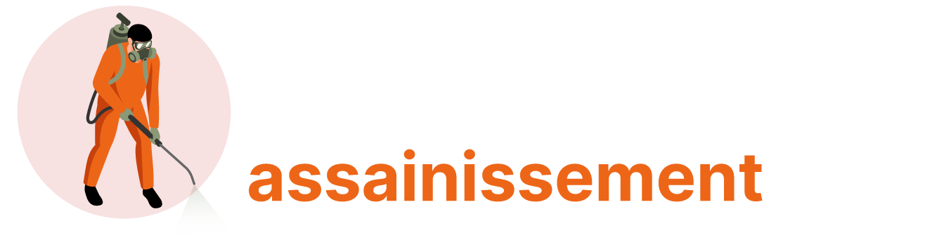 Delaunay Assainissement